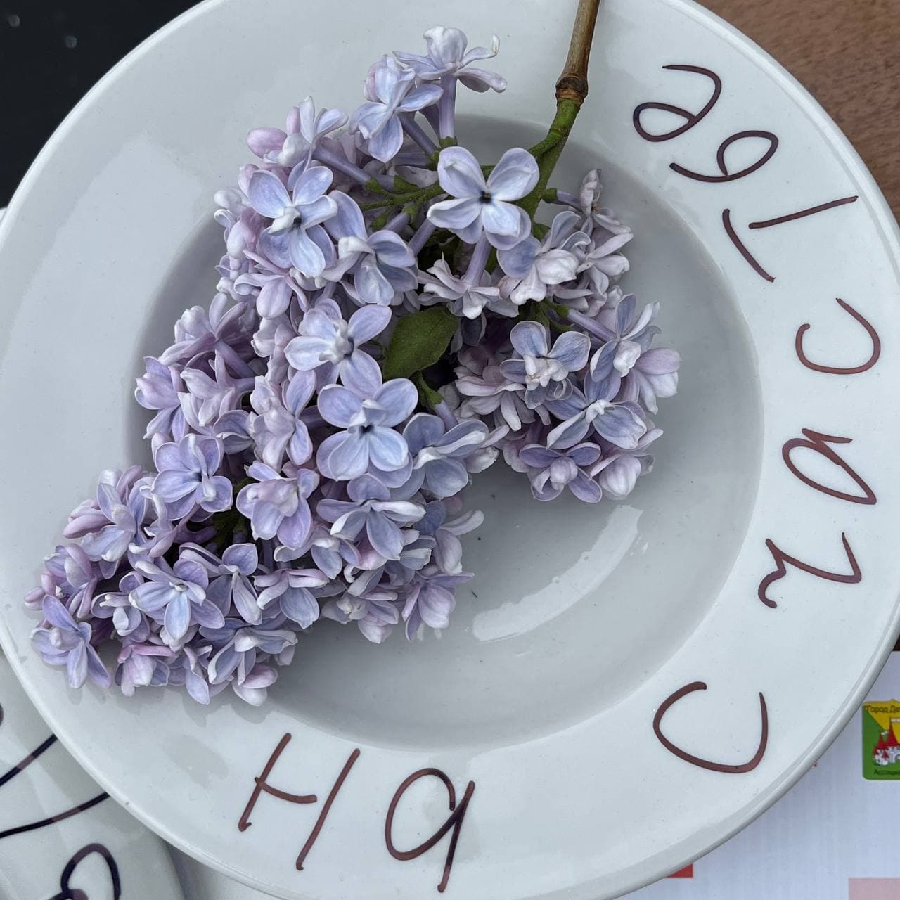 Корпоративы и выездные мероприятия Устрой Дестрой 1